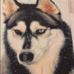 HUSKY AUX YEUX VAIRONS - BRODERIE DIAMANT