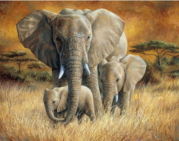 ELEPHANT - Copie ELEPHANT - Copie